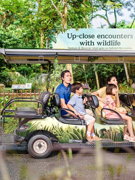 Visitors on a tram tour observing wildlife at Singapore Zoo.