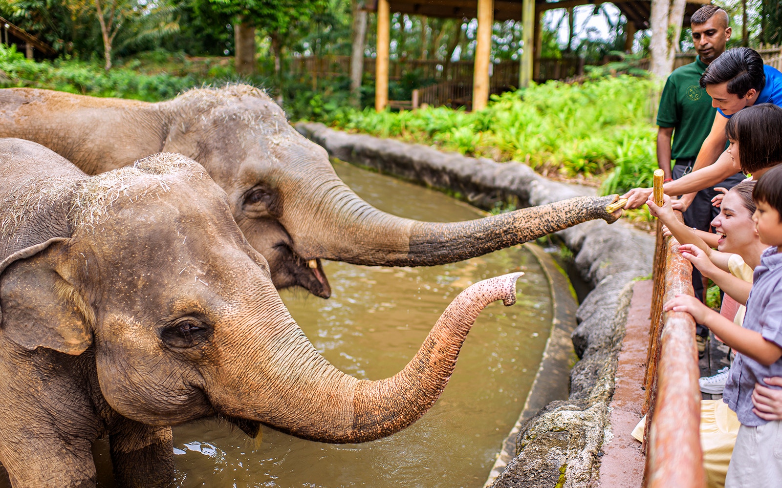 Open Zoo enclosures