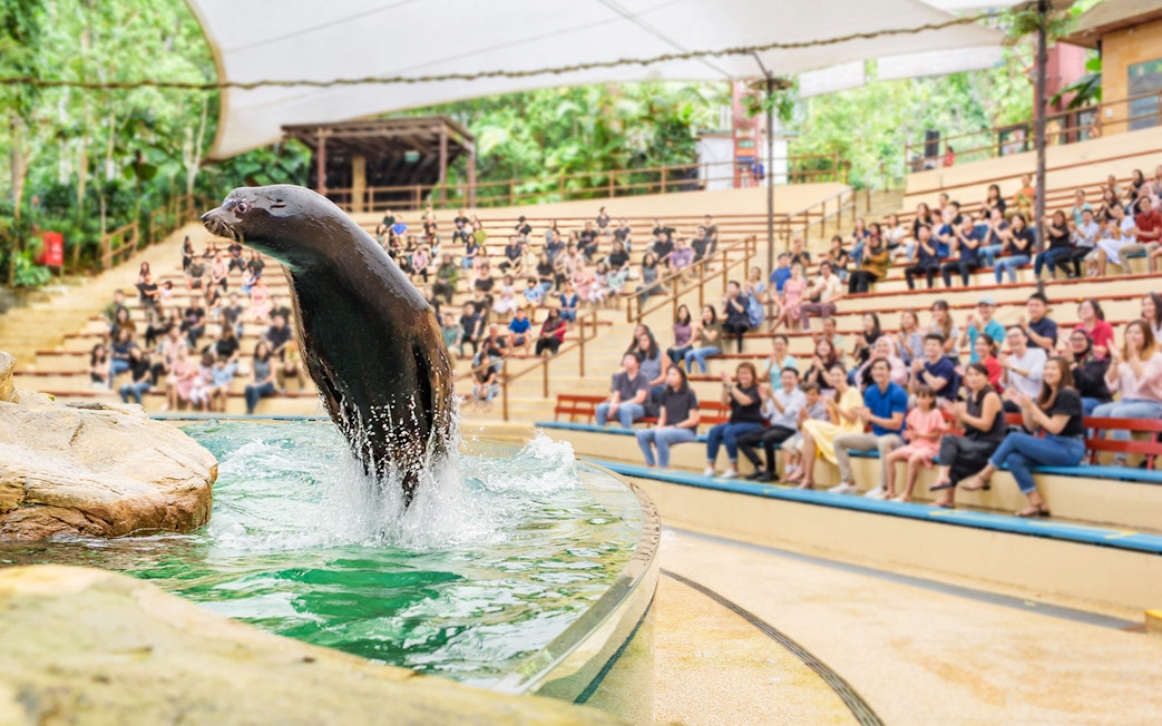 Sea lion performing at Singapore Zoo with audience watching.