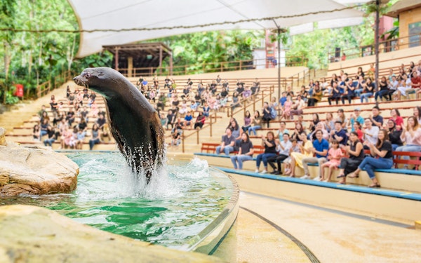 Combo: Singapore Zoo + Gardens by the Bay/Universal Studios Singapore Tickets