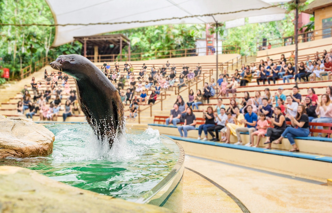 Sea lion performing at Singapore Zoo with audience watching.