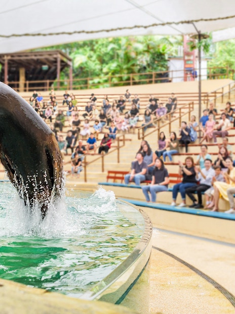 Sea lion performing at Singapore Zoo with audience watching.