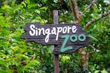 Best Things to do in Singapore - Singapore Zoo - 1