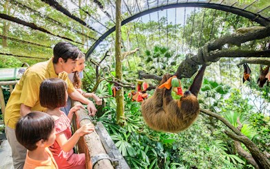 Family observing a sloth eating fruit at Singapore Zoo.