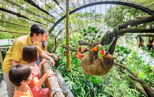 Family observing a sloth eating fruit at Singapore Zoo.