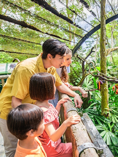 Family observing a sloth eating fruit at Singapore Zoo.