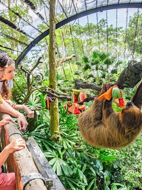 Family observing a sloth eating fruit at Singapore Zoo.