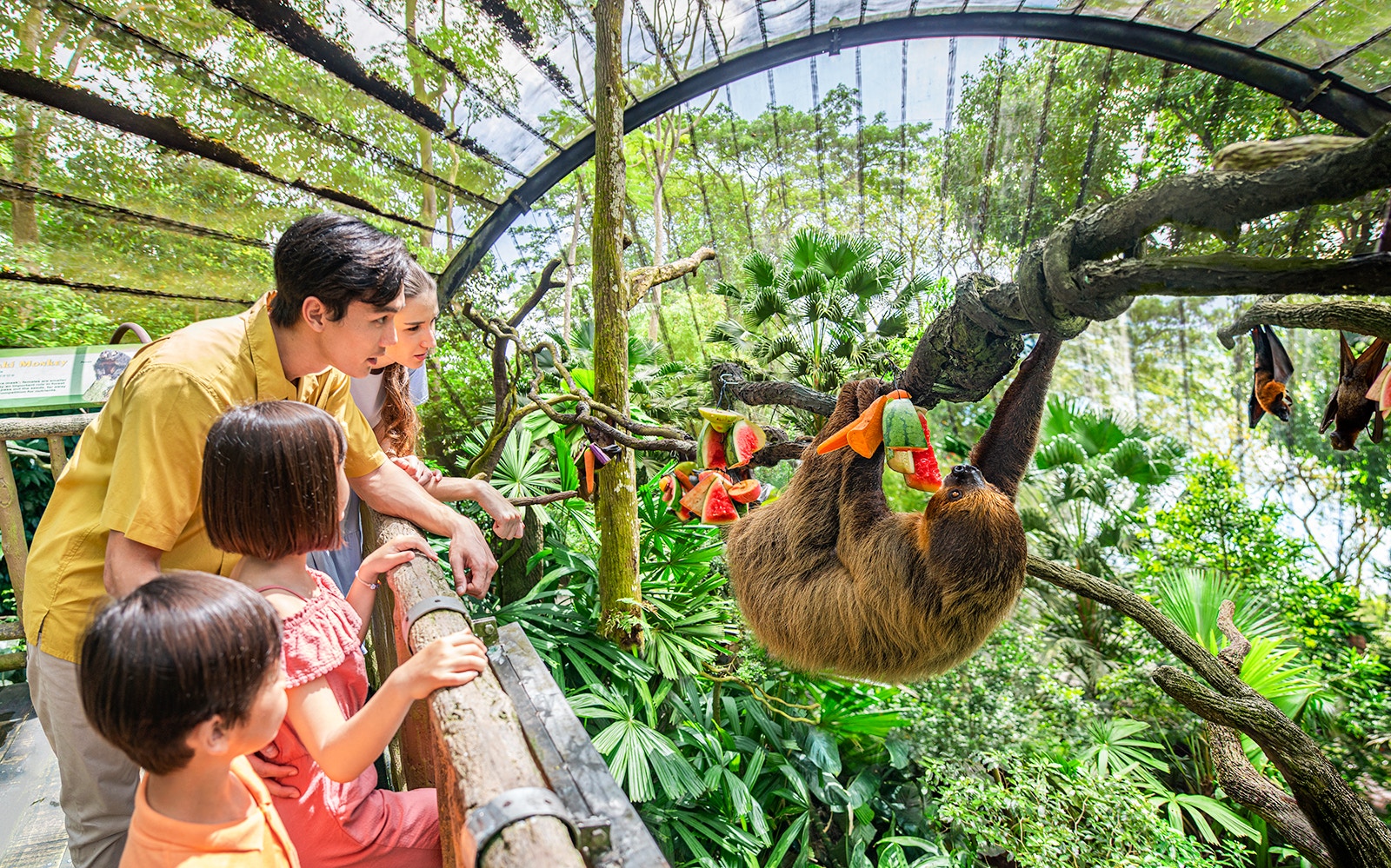 Family observing a sloth eating fruit at Singapore Zoo.