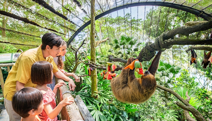 Plan Your Visit to the Zoo