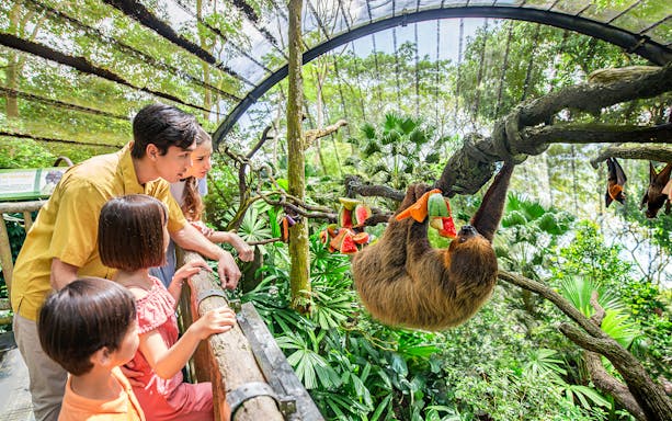 Family observing a sloth eating fruit at Singapore Zoo.