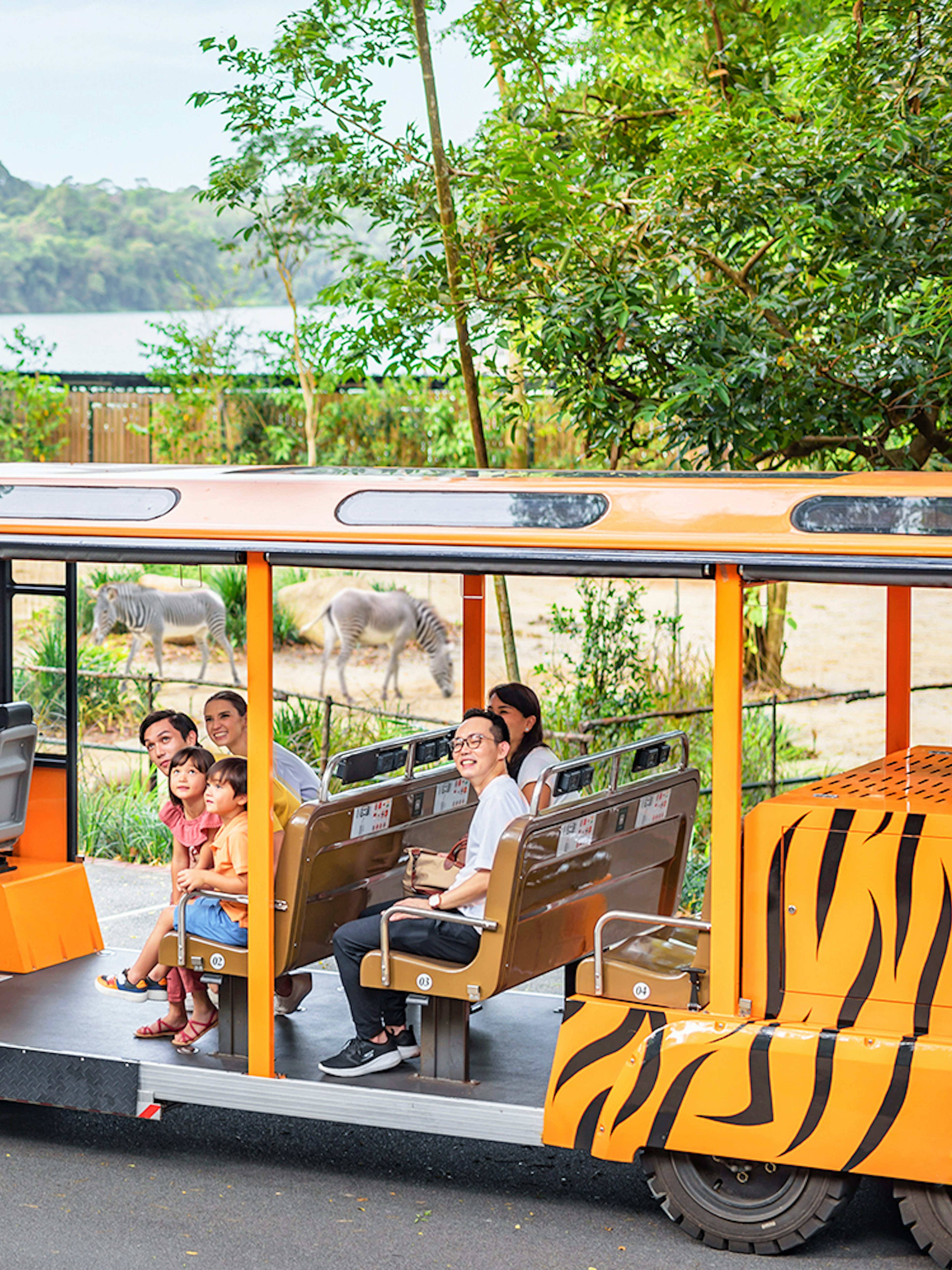 Open-air tram with passengers touring a zoo, zebras and elephant visible in the background.