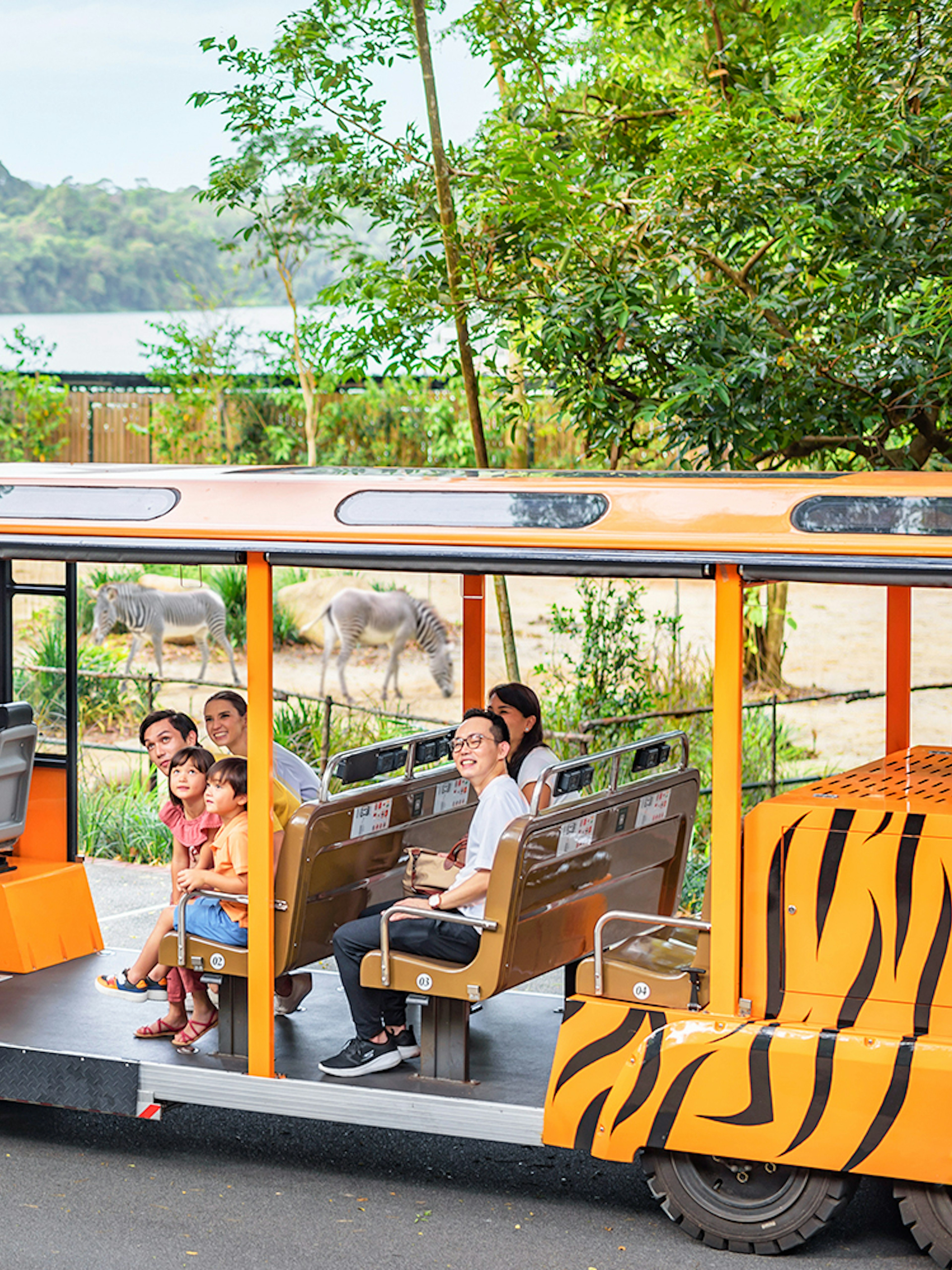Open-air tram with passengers touring a zoo, zebras and elephant visible in the background.