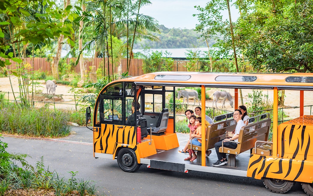 Open-air tram with passengers touring a zoo, zebras and elephant visible in the background.