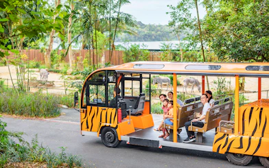 Open-air tram with passengers touring a zoo, zebras and elephant visible in the background.