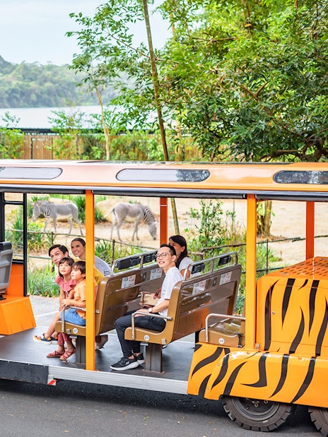 Open-air tram with passengers touring a zoo, zebras and elephant visible in the background.