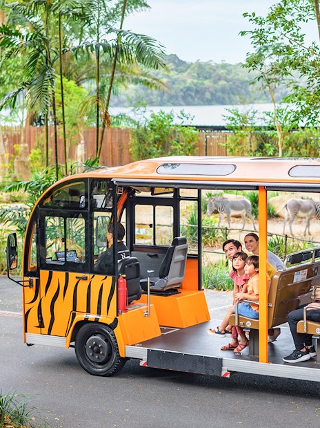 Open-air tram with passengers touring a zoo, zebras and elephant visible in the background.