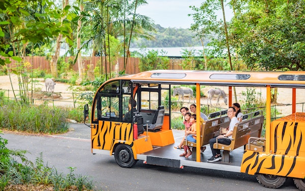 Singapore Zoo Tickets | Mandai Wildlife Reserve