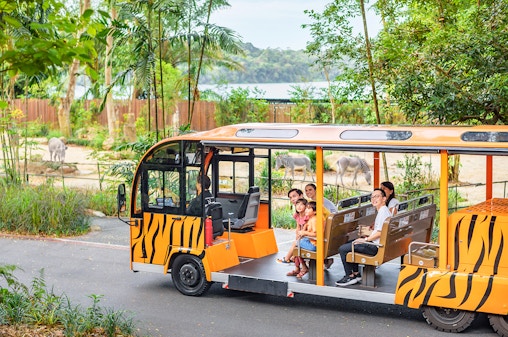 Ingressos para o zoológico de Singapura com passeio de bonde