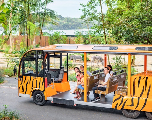 Open-air tram with passengers touring a zoo, zebras and elephant visible in the background.