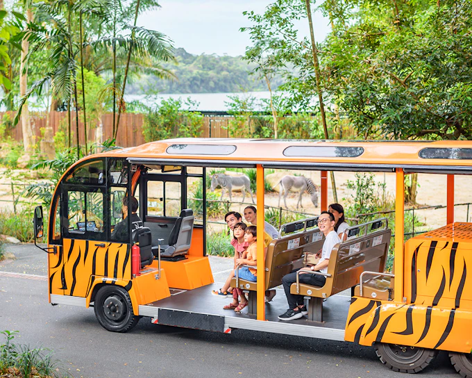 Singapore Zoo Tickets - Mandai Wildlife Reserve