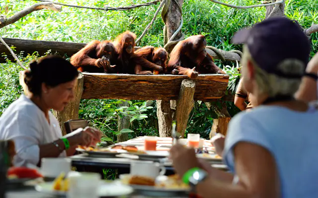 singapore zoo tickets 3