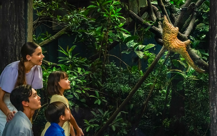 Family observing a pangolin in a lush, green exhibit at Night Safari.