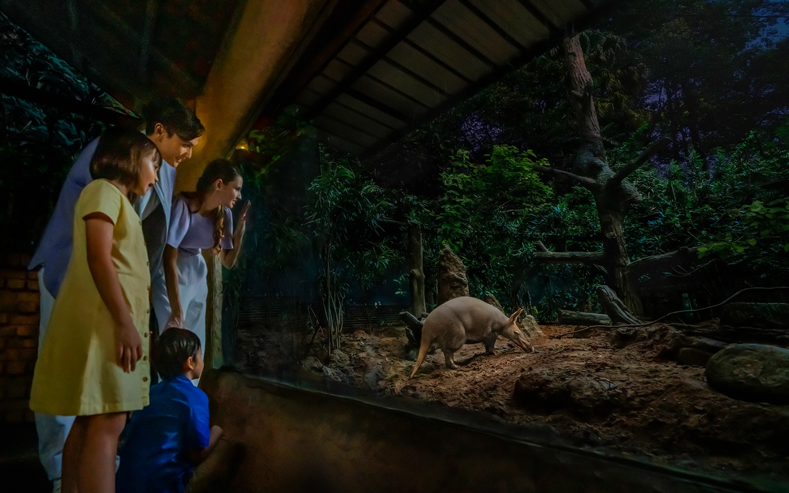 Family observing an aardvark at Singapore Night Safari.