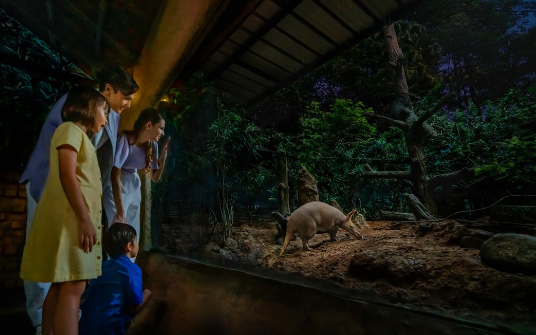 Family observing an aardvark at Singapore Night Safari.