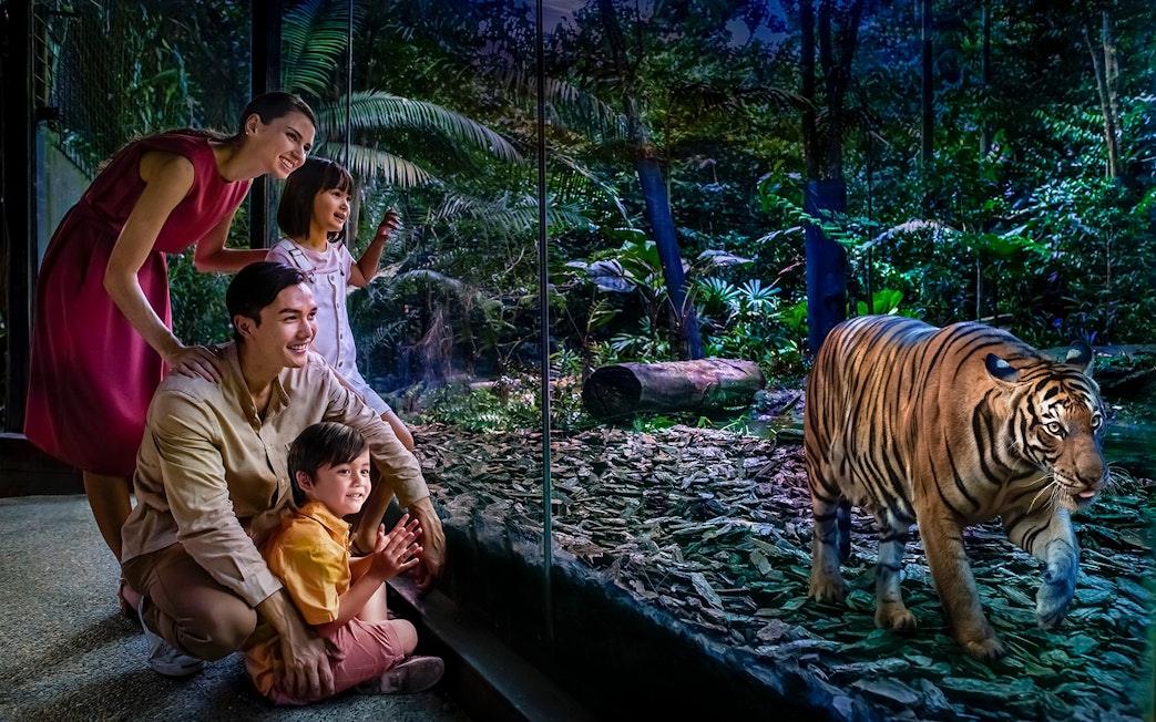 Family observing tiger through glass at Night Safari, Singapore.