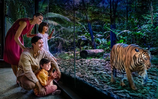 Family observing tiger through glass at Night Safari, Singapore.