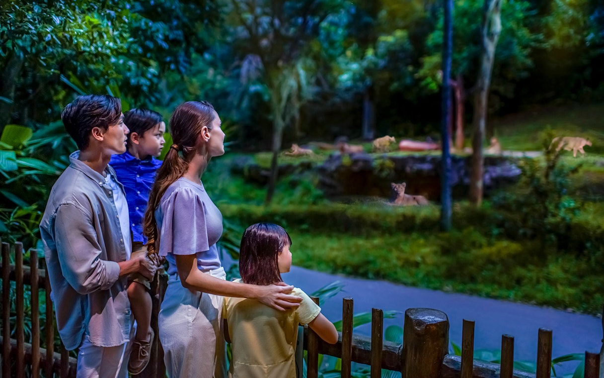 Family observing lions at Night Safari, Singapore.