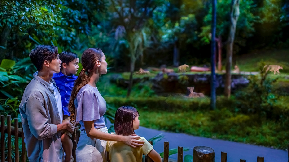 Night Safari Singapore Tickets