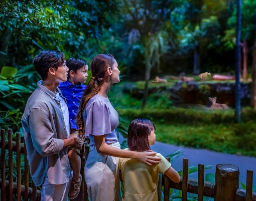 Family observing lions at Night Safari, Singapore.