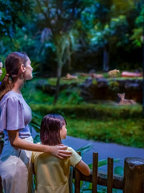 Family observing lions at Night Safari, Singapore.