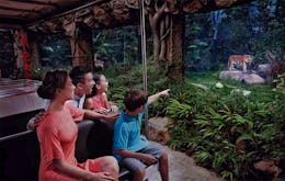 Night Safari - 5 day Singapore itinerary