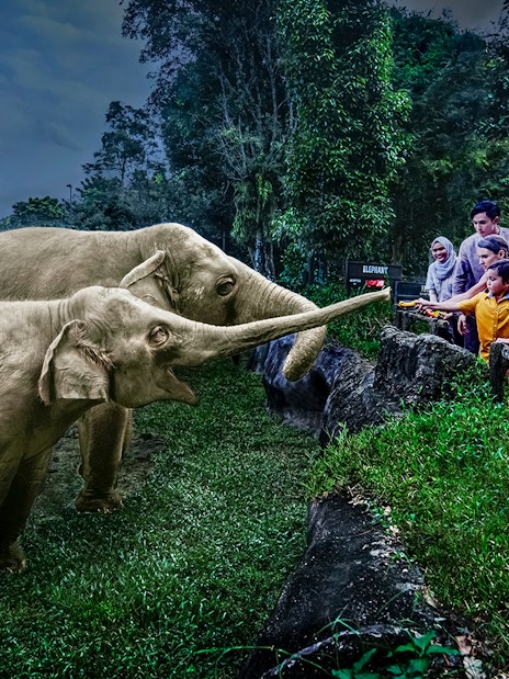 Family feeding elephants on Singapore Night Safari tram ride.