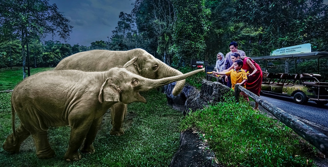 Discover Interlaken Nature & Wildlife