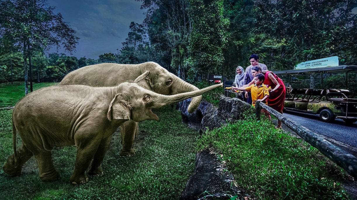 Mandai Wildlife Reserve - Timmings