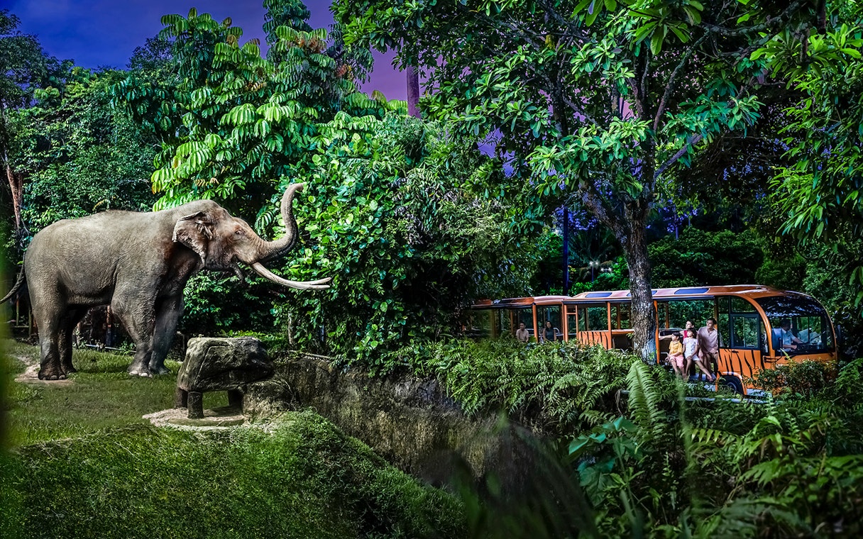 Family on tram viewing elephant at Singapore Night Safari.