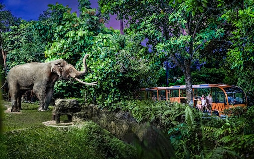 Family on tram viewing elephant at Singapore Night Safari.