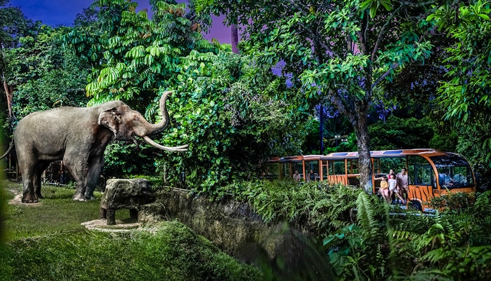 Mandai Wildlife Reserve - Dinner in the Wild