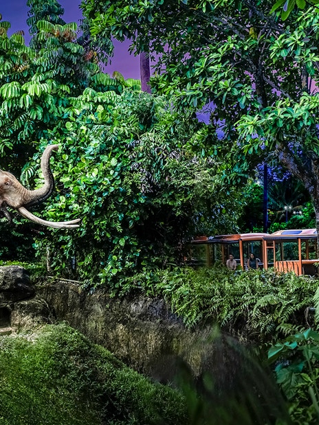 Family on tram viewing elephant at Singapore Night Safari.