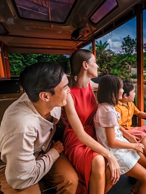 Family on tram viewing rhinoceroses during Singapore Night Safari.