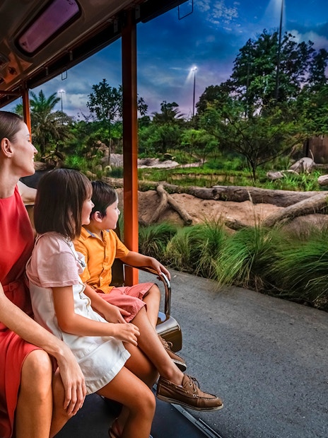 Family on tram viewing rhinoceroses during Singapore Night Safari.