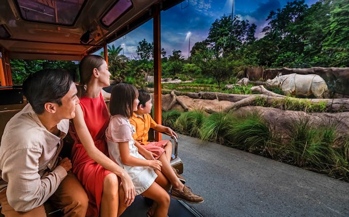Family on tram viewing rhinoceroses during Singapore Night Safari.