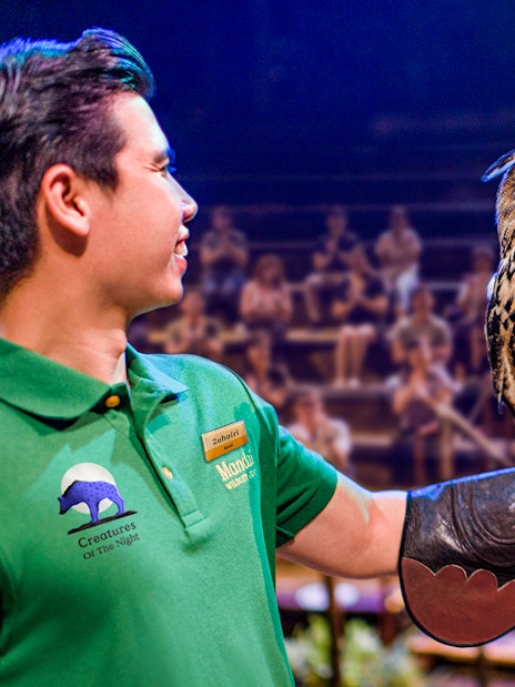 Handler presenting an owl during the night show at Singapore Night Safari.