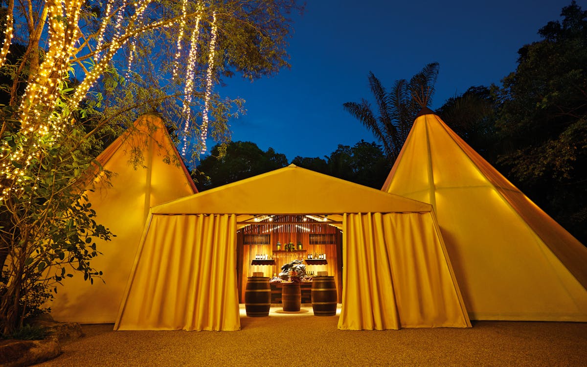 singapore night safari with hotel transfers-4 singapore night safari with hotel transfers-4