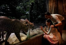 Night Safari singapore-3