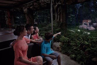 Night Safari singapore-2