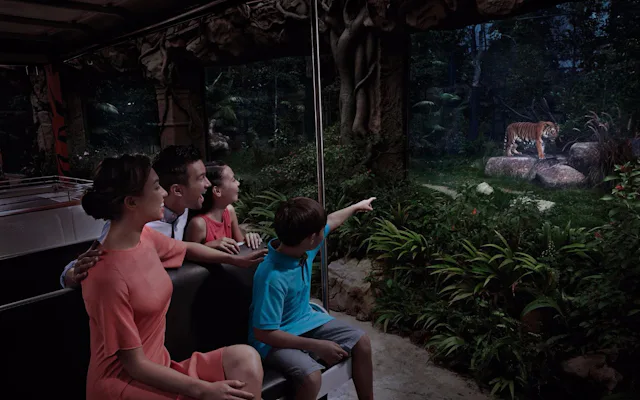 skip the line night safari tickets 1